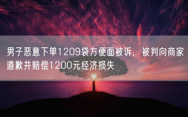 男子恶意下单1209袋方便面被诉，被判向商家道歉并赔偿1200元经济损失