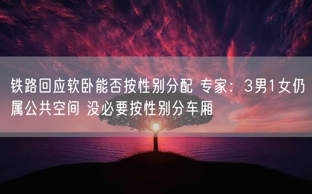 铁路回应软卧能否按性别分配 专家：3男1女仍属公共空间 没必要按性别分车厢