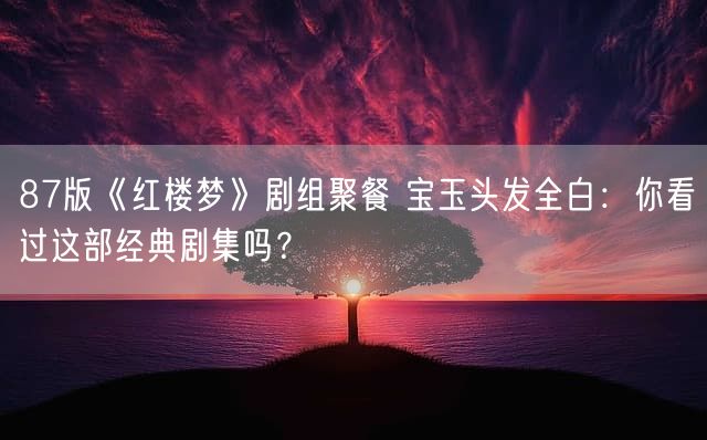 87版《红楼梦》剧组聚餐 宝玉头发全白:你看过这部经典剧集吗?