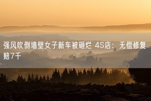 强风吹倒墙壁女子新车被砸烂 4S店:无偿修复 赔7千