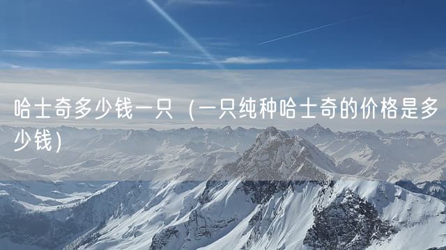 哈士奇多少钱一只（一只纯种哈士奇的价格是多少钱）