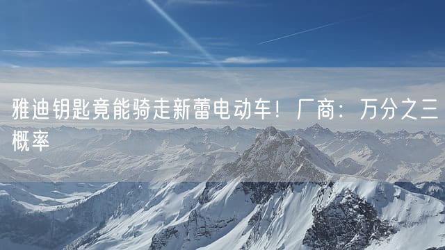 雅迪钥匙竟能骑走新蕾电动车！厂商：万分之三概率