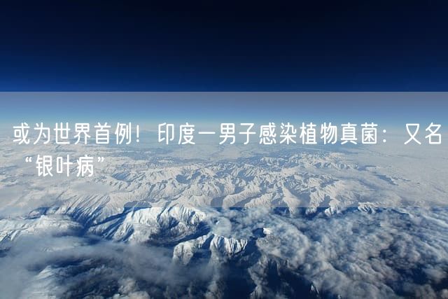 或为世界首例！印度一男子感染植物真菌：又名“银叶病”