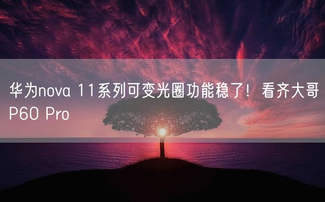 华为nova 11系列可变光圈功能稳了！看齐大哥P60 Pro