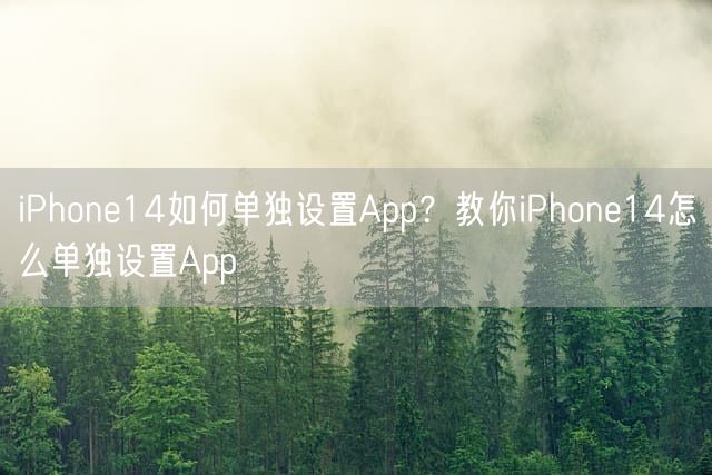 iPhone14如何单独设置App？教你iPhone14怎么单独设置App